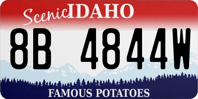 ID license plate 8B4844W