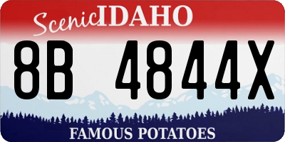 ID license plate 8B4844X