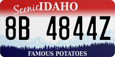 ID license plate 8B4844Z