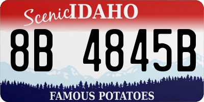 ID license plate 8B4845B