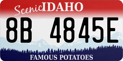 ID license plate 8B4845E