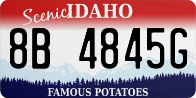 ID license plate 8B4845G