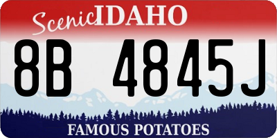 ID license plate 8B4845J