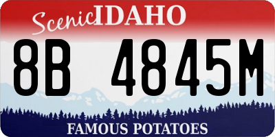 ID license plate 8B4845M