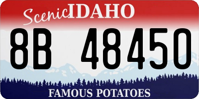 ID license plate 8B4845O