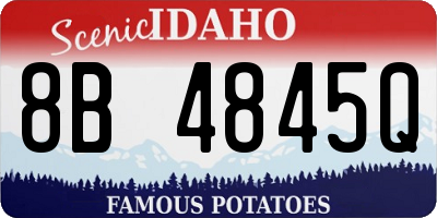 ID license plate 8B4845Q
