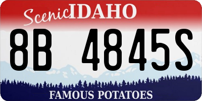 ID license plate 8B4845S