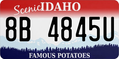 ID license plate 8B4845U