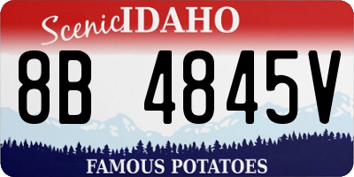 ID license plate 8B4845V