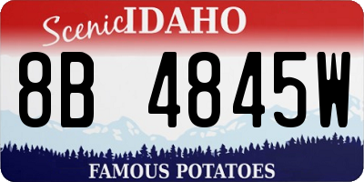 ID license plate 8B4845W