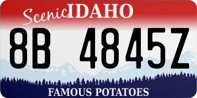 ID license plate 8B4845Z