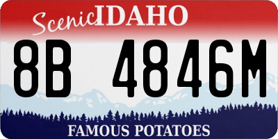 ID license plate 8B4846M