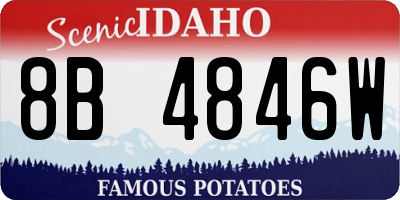 ID license plate 8B4846W