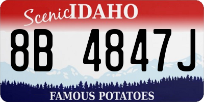 ID license plate 8B4847J