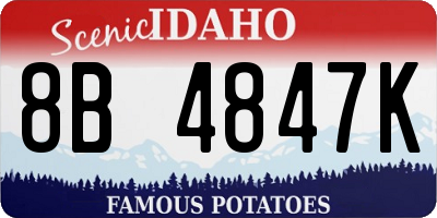 ID license plate 8B4847K
