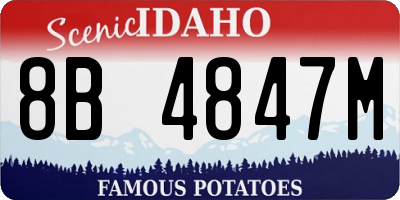 ID license plate 8B4847M