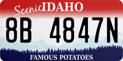 ID license plate 8B4847N