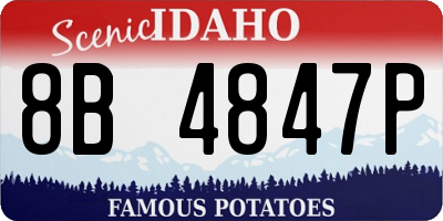 ID license plate 8B4847P