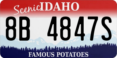 ID license plate 8B4847S