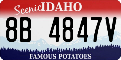 ID license plate 8B4847V