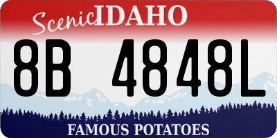 ID license plate 8B4848L