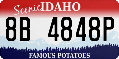 ID license plate 8B4848P
