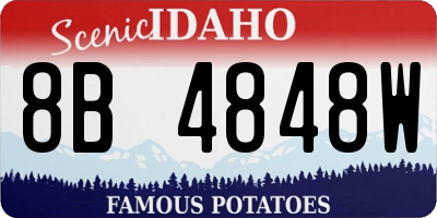 ID license plate 8B4848W