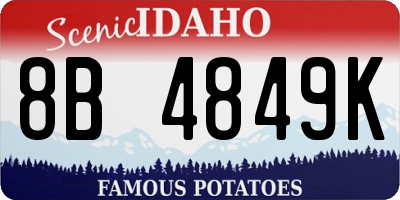 ID license plate 8B4849K