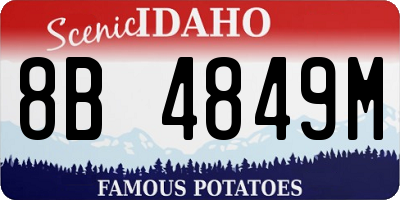 ID license plate 8B4849M