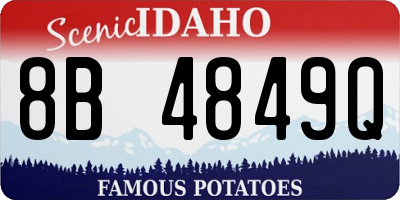 ID license plate 8B4849Q