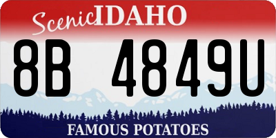 ID license plate 8B4849U