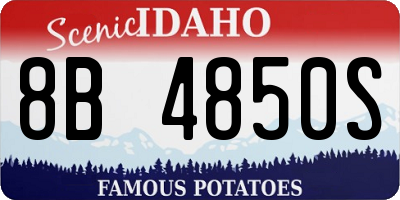 ID license plate 8B4850S