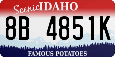 ID license plate 8B4851K