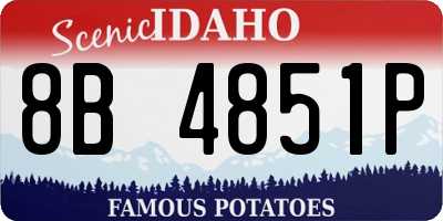 ID license plate 8B4851P