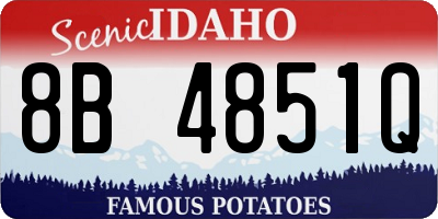 ID license plate 8B4851Q