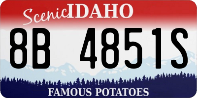 ID license plate 8B4851S