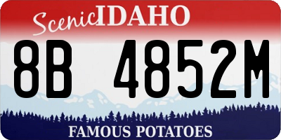 ID license plate 8B4852M