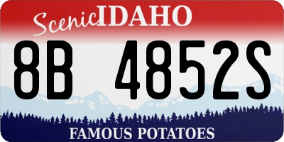 ID license plate 8B4852S