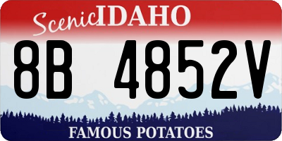 ID license plate 8B4852V