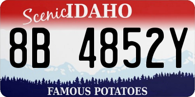 ID license plate 8B4852Y