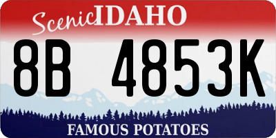 ID license plate 8B4853K