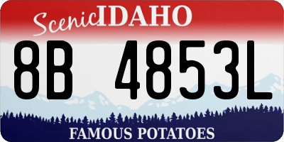 ID license plate 8B4853L