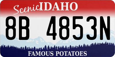 ID license plate 8B4853N