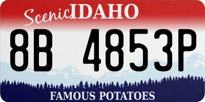 ID license plate 8B4853P