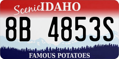 ID license plate 8B4853S