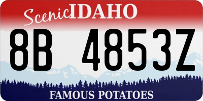 ID license plate 8B4853Z