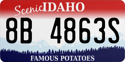 ID license plate 8B4863S
