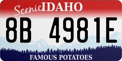 ID license plate 8B4981E
