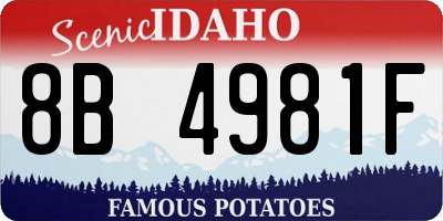 ID license plate 8B4981F