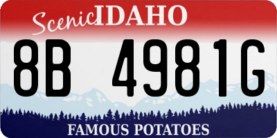ID license plate 8B4981G